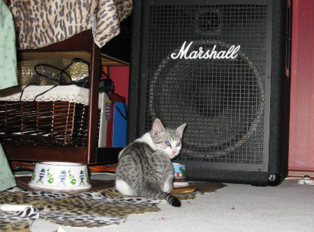 Photobucket