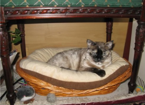 Photobucket