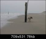 Free Image Hosting at www.ImageShack.us